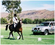 Trotting past the judge