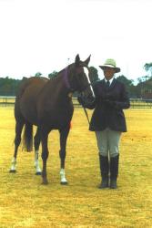 Kassie: Reserve Champion Led Mare at Alice Springs Show in 1999 - click for larger image