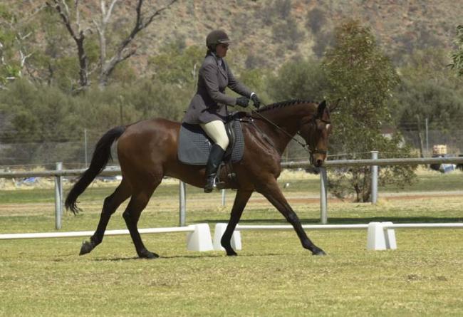 Greg at canter: Northern Territory Championships, 24th August 2002