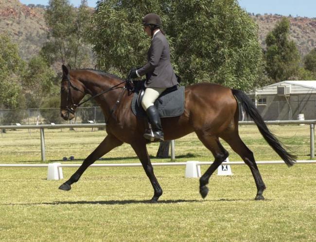 Greg lengthening at trot: Northern Territory Championships, 24th August 2002