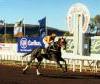 Passing the winning post