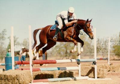 Mabel jumping in Tennant Creek