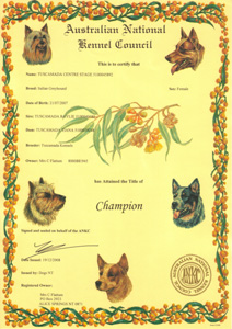 Millie's Championship Certificate