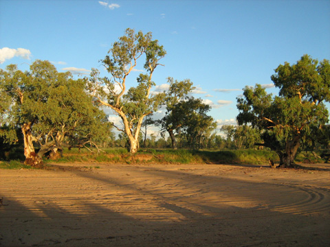 River shadows