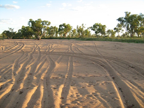 Tyre tracks